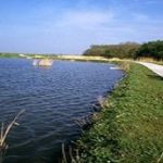 skeelers_in_almere-240