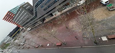 bomen stadhuis promenade