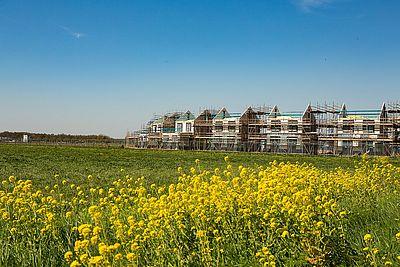 bouwen-boeuwen-boeuwen