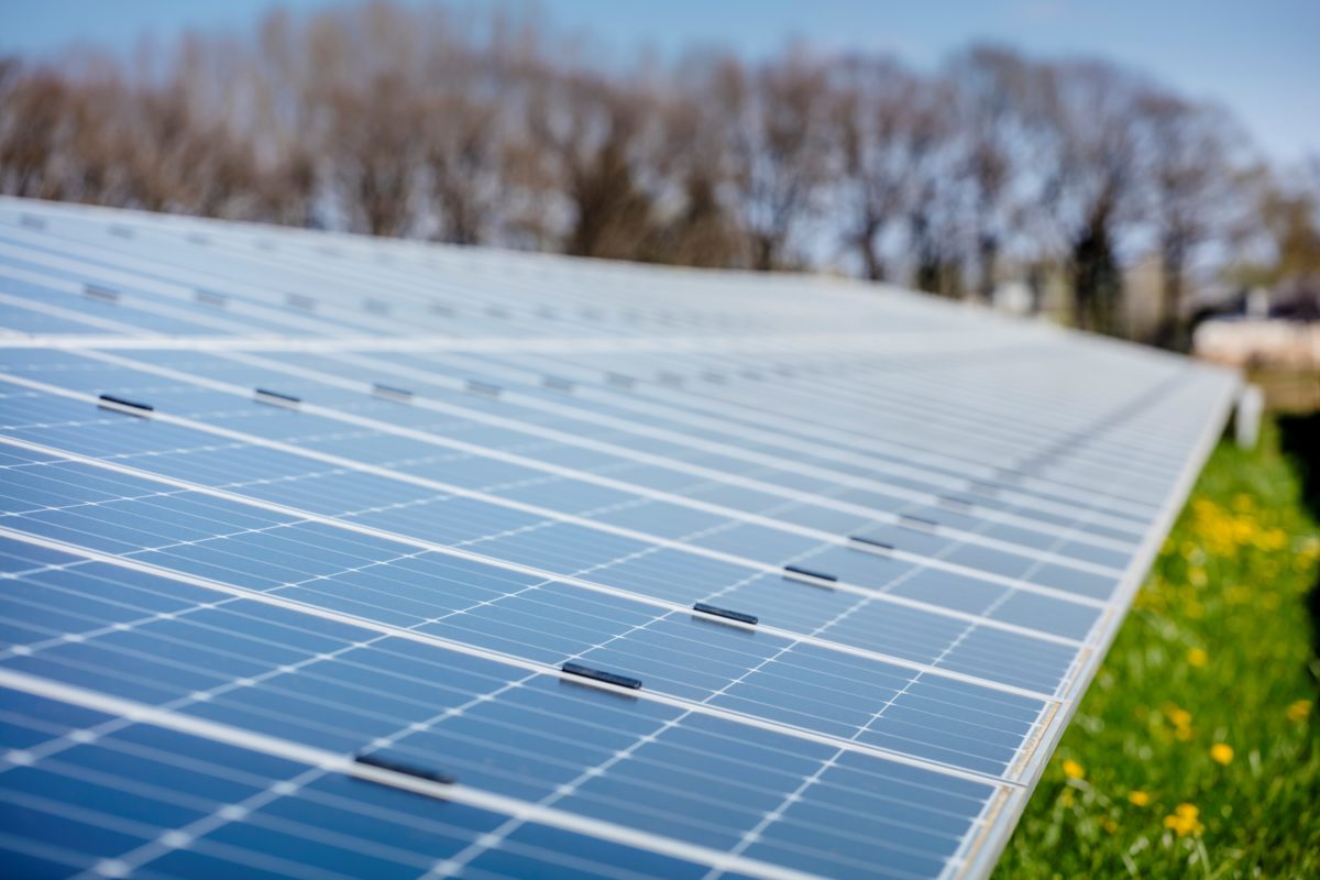 zonneweide Vattenfall Jorrit Lousberg