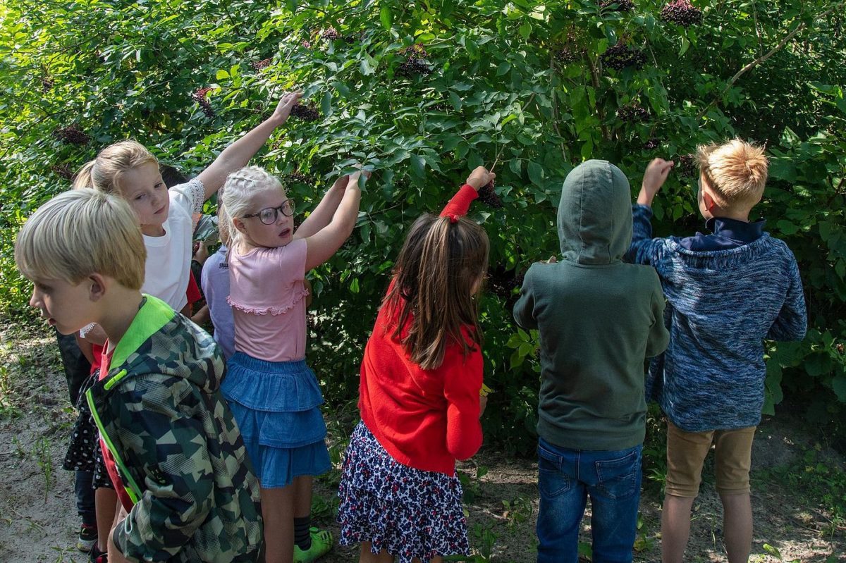 kinderen op utopia eilandproject