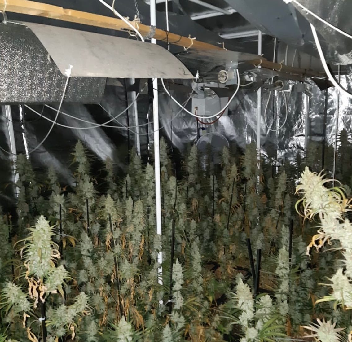 politie poort hennep 07-01-2022