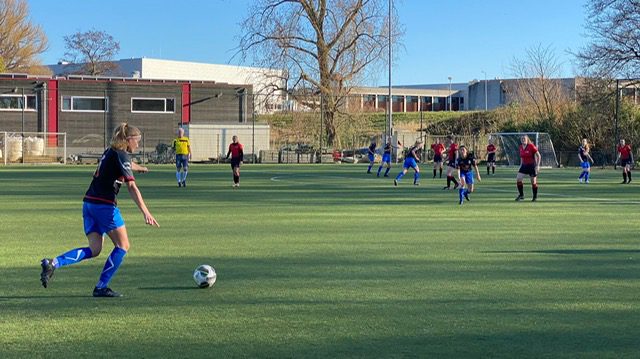 thumbnail_Wartburgia