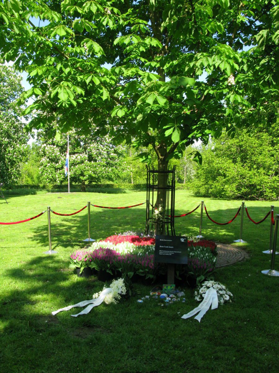 4 mei monument bos der onverzettelijke