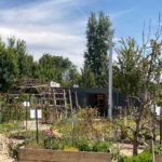 oosterwolde paviljoen