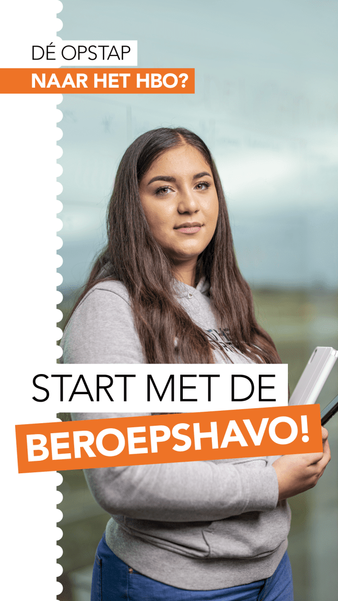 Beeld Beroepshavo