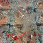 De Schoor steekt ouderen hart on de riem 04-01-2024