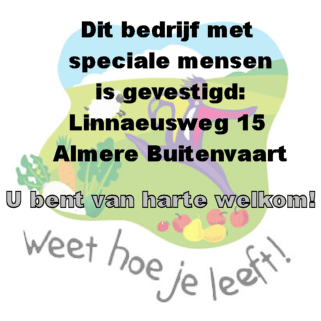 Weet Hoe Je Leeft