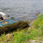 Waterplanten maaien Weerwater