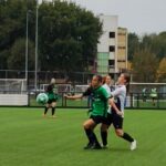 PHOTO-2025-10-16-11-31-10 (1)