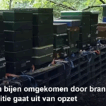 header-herstel-de-bijen-in-het-beatrixpark